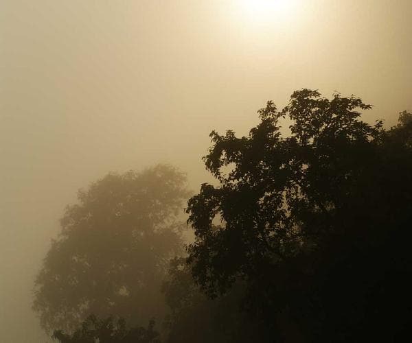 Find support on Mable